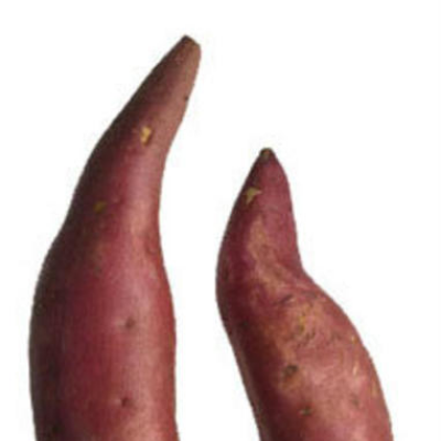 Fingerling Sweet Potatoe