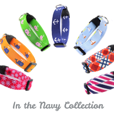 Dog Collars