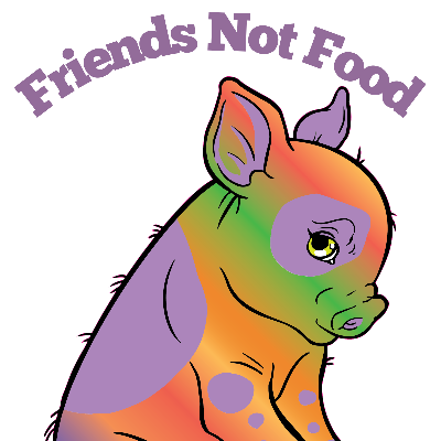 Hoodie - Rainbow Piggy