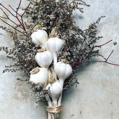 Edible Heirloom Garlic Bouquet