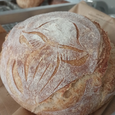 Sourdough Bread
