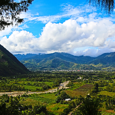 Peru Liz Colina Dark Roast - 2 Lb