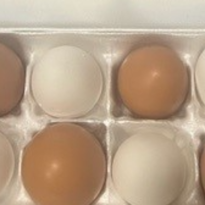 Standard Cell Split 6-Egg Clear Plastic Carton