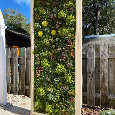 35x84" Living Green Wall / Vertical Garden