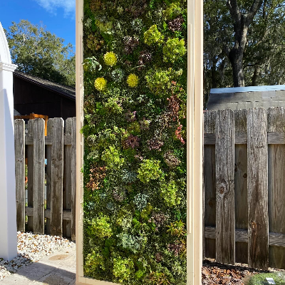 84x35" Living Green Wall / Vertical Garden