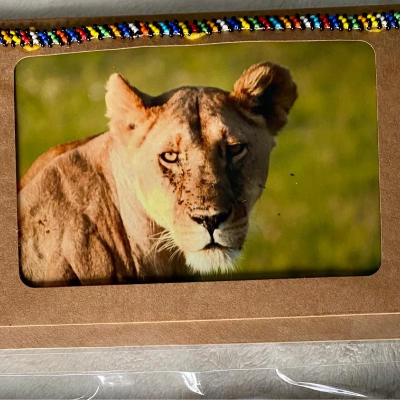 Picture Greeting Cards