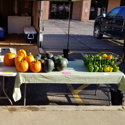 Garden Fresh Vegetables & Fruits