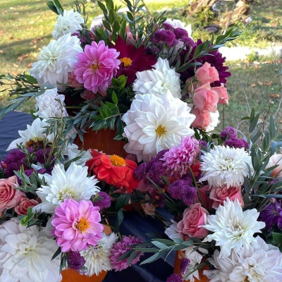 Dahlia