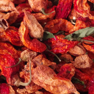 Dried Chilies