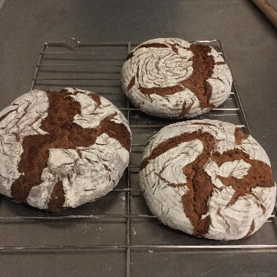 German Rye Sourdough