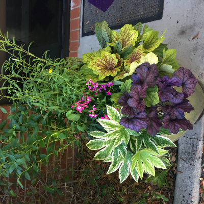 Container Garden By Peterson's Petals