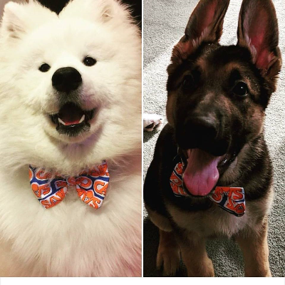 This Is One Of Buddies Modeling His New Bandana