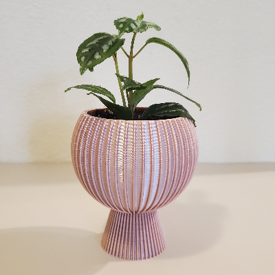 3d Printed Planter - 3"