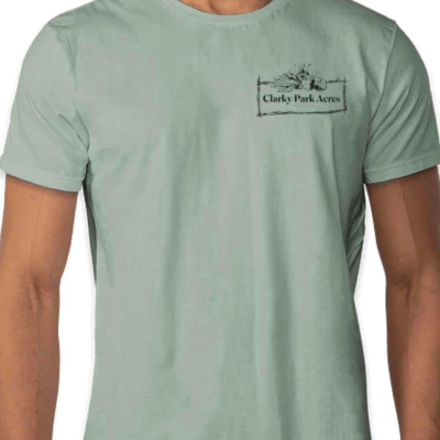Sage Shortsleeve Shirt