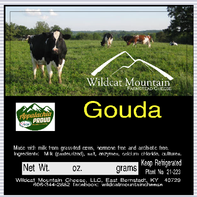 Gouda