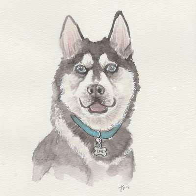 Pet Prints