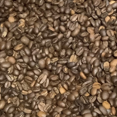 Ethiopia Sidama Dark 12 Oz