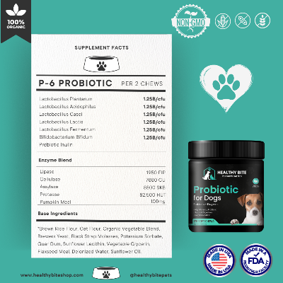Healthy Bite Probiotic For Dogs - Premium Organic & Natural Soft Chews - Digestive & Immune Support, Bacon Flavor, 120 Count