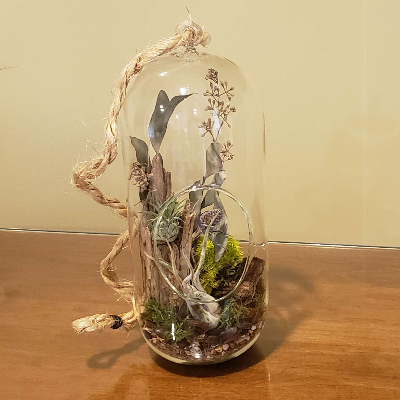 Air Plant Habitat - 4.25" Wide X 11.5" Tall - Air Plants Included