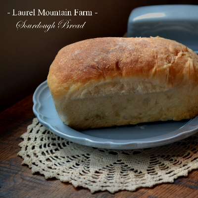 Laurel Mountain Original Sourdough