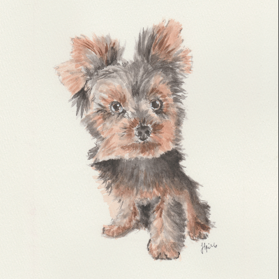 Pet Prints