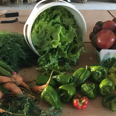 Heirloom Tomatoes And Peppers