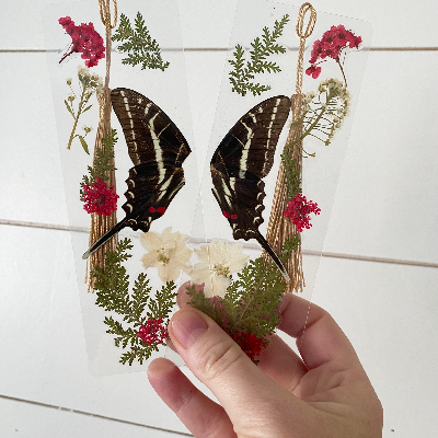 Butterfly Wing Bookmarks
