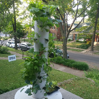 Tower Garden