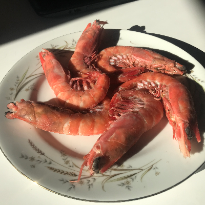 Shrimp-Royal Red