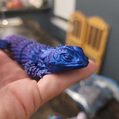 Pancake Lizard