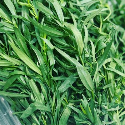 Tarragon