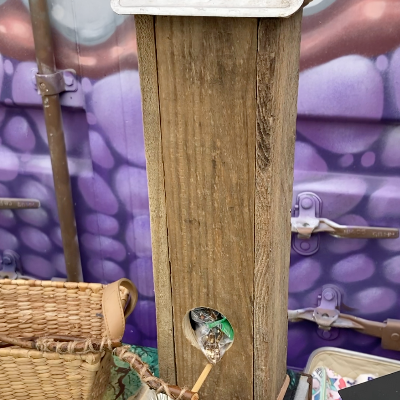 Vendor Display