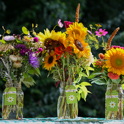 Fresh Cut Flowers