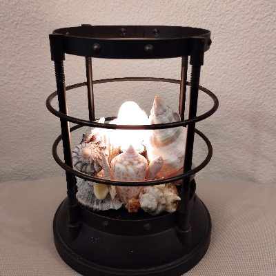 Lantern Shell Nightlight