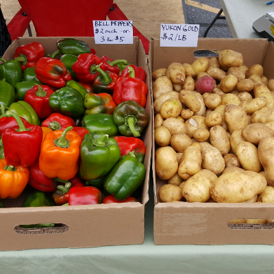 Garden Fresh Vegetables & Fruits