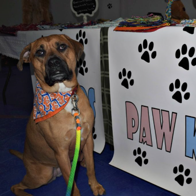 This Is One Of Buddies Modeling His New Bandana