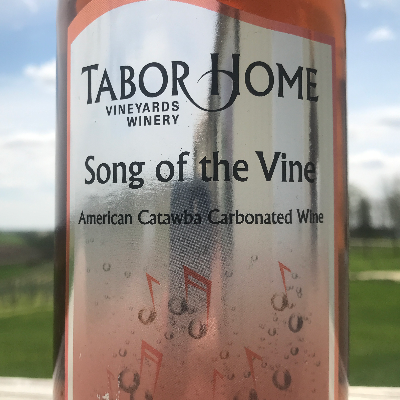 Song Of The Vine