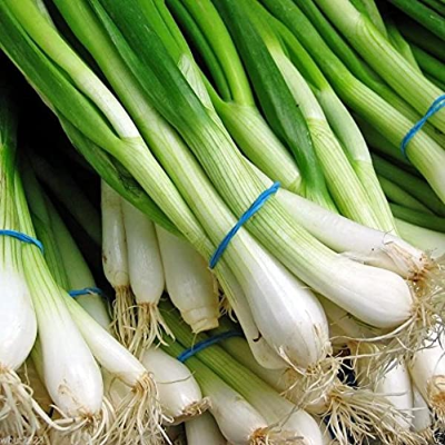 Green Onions/Scallions