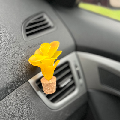 Succulent Car Air Fresheners