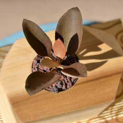 Sample Of Wood Planters