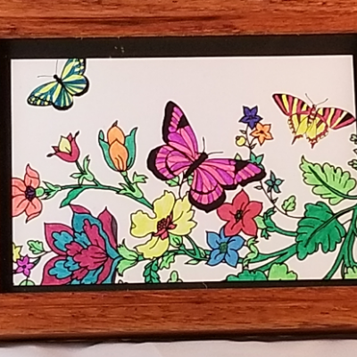 Butterfly & Flower Picture