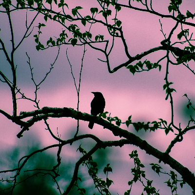 Large Format Fine Art Photography Prints