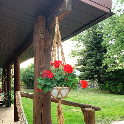 Boho Jute Plant Hangers