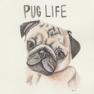 Pet Prints