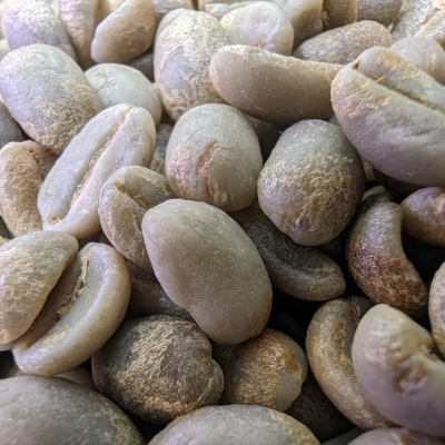 Peru Liz Colina Dark Roast - 5 Lb