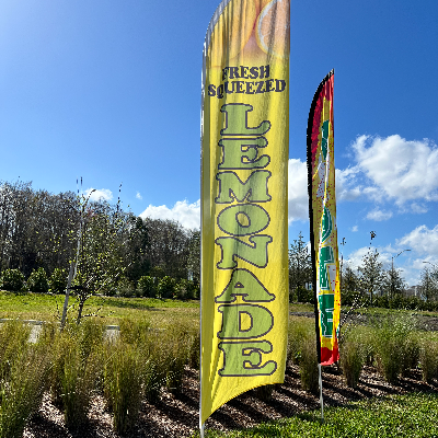 Thirsty Lemonade Set-Up, Tent Weights, Signage
