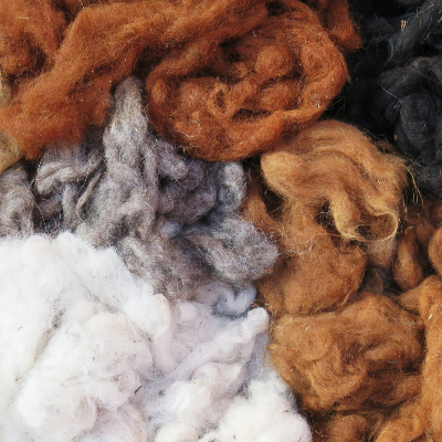 Raw Alpaca Fiber