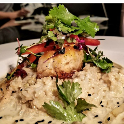 Cahokia High Protein Rice Brown