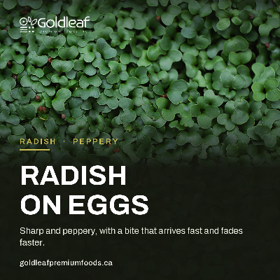 Live Radish Microgreens