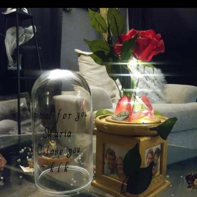 Red Beauty And The Beast Enchanted Flower Dome With Spinning Picture Frame